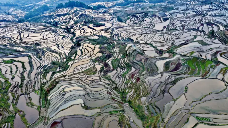 黑龙江寒地园区安防巡逻机器人部署要点与选型分析封面图