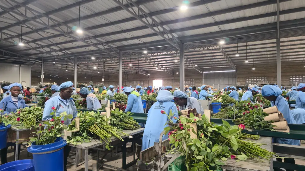 工业园区智能巡检机器人选型指南：红外测温与无人化方案
