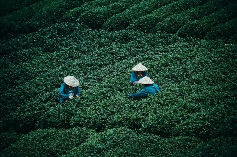 工业园区安防巡逻机器人选型要点与技术指标解析